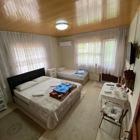 Elmas Karacasu (Aydin)