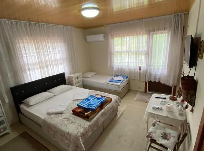 Elmas Karacasu (Aydin)